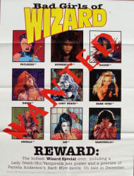 Wizard Bad Girls poster image